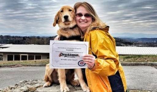 a dog receiving a certificate from a trainer