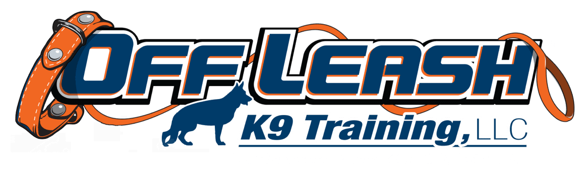 Off Leash K9 Training Asheville